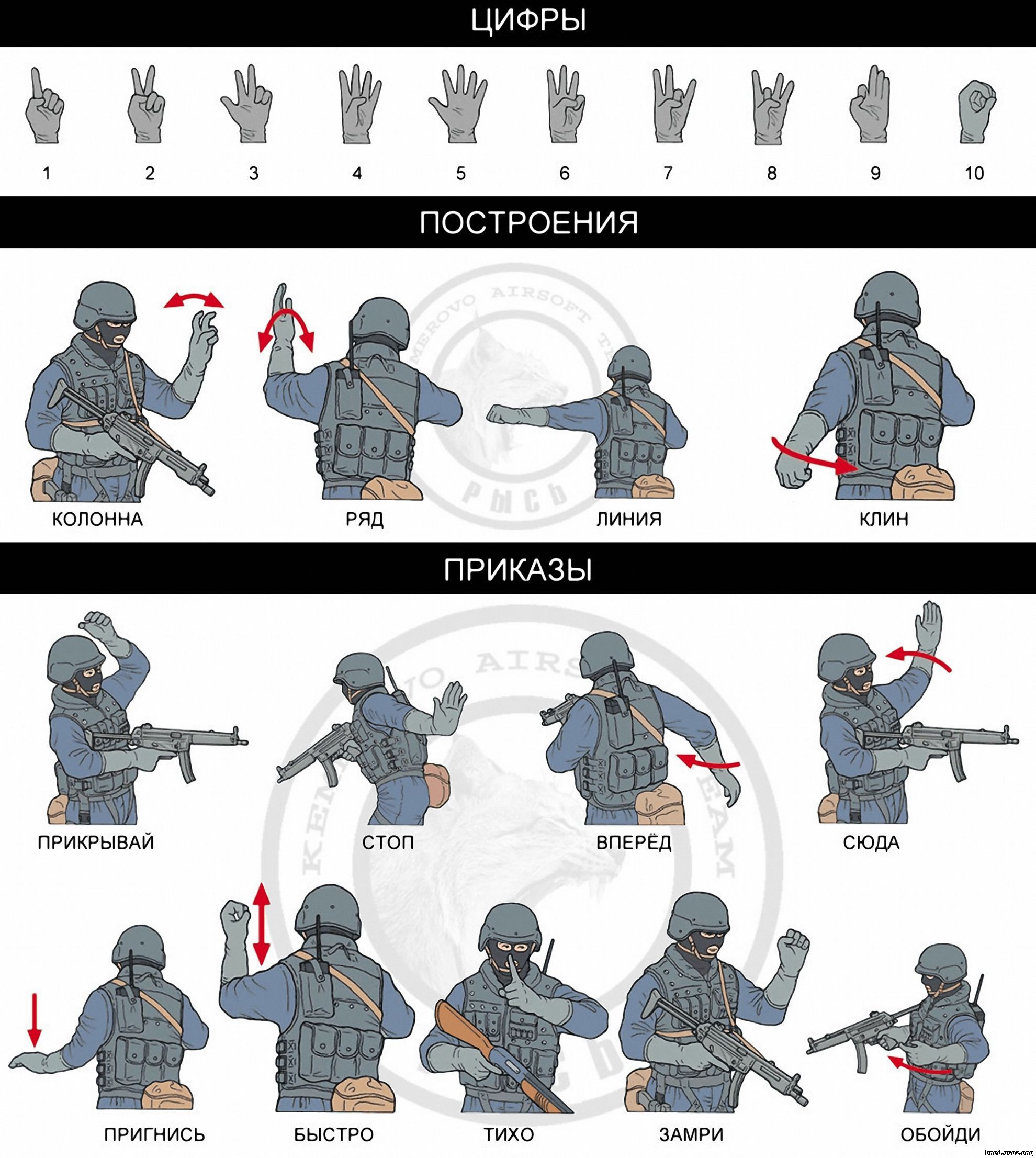 Язык жестов спецназа в картинках